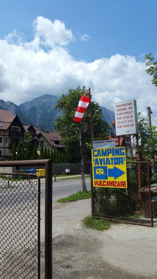 Aviator Busteni, Parcela Campare Corturi Campsite